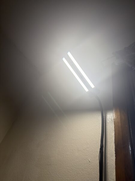 Desktop Lamp